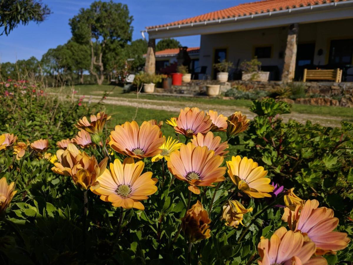 Quinta Reuffurth Lägenhet Aljezur Exteriör bild